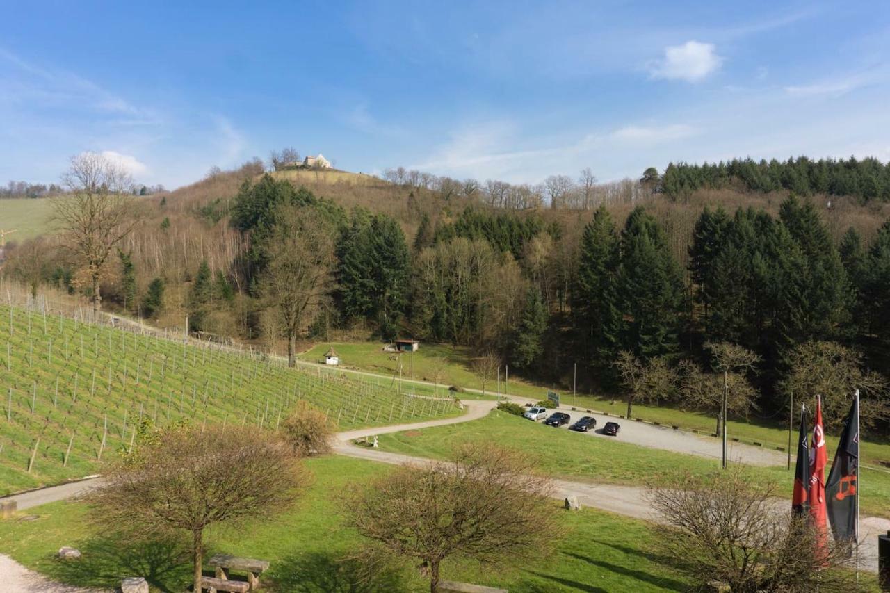 Wein Lodge Durbach - Schlossblick Екстериор снимка