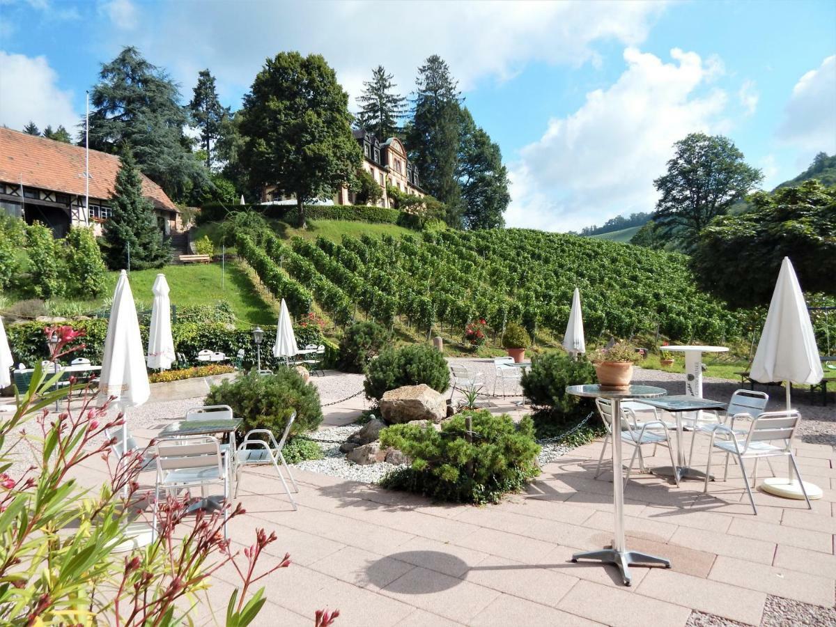 Wein Lodge Durbach - Schlossblick Екстериор снимка