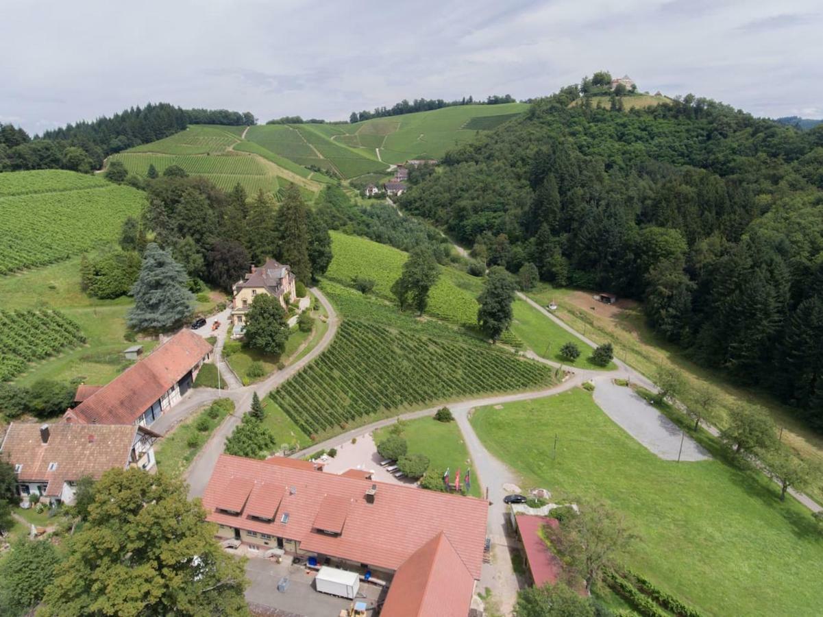 Wein Lodge Durbach - Schlossblick Екстериор снимка